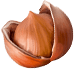 Фундук