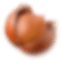 Фундук