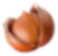 Фундук