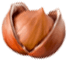 Фундук